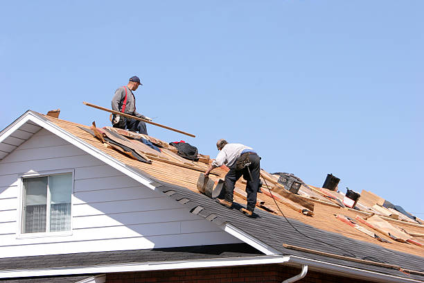 Best Roof Inspection  in Collinsville, VA